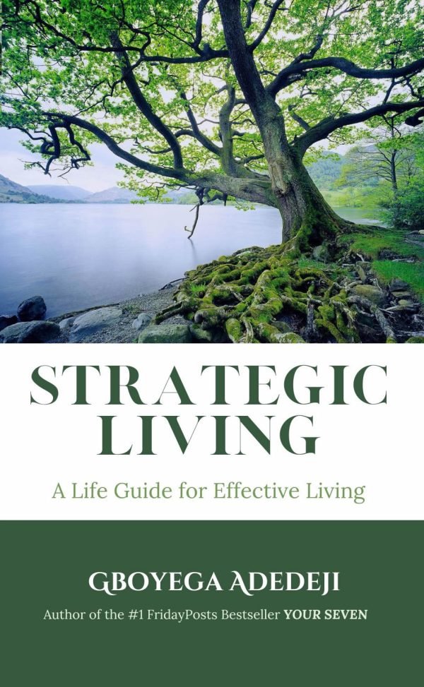 Strategic Living: A Life Guide for Effective Living (Paperback)